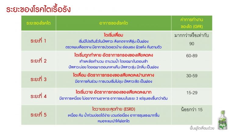 ไตเสื่อม ไตวาย ดูแลได้