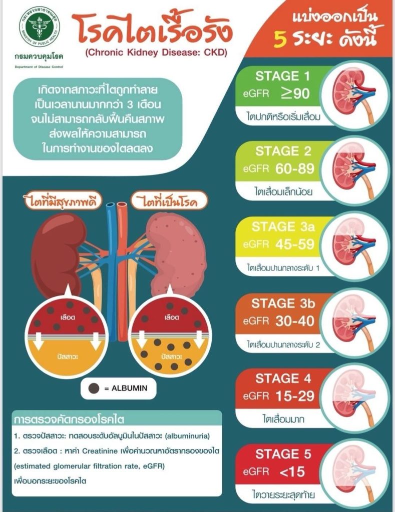 ไตเสื่อม ไตวาย ดูแลได้
