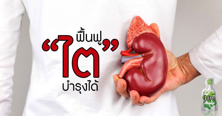 ไตเสื่อม ไตวาย ฟื้นฟูได้