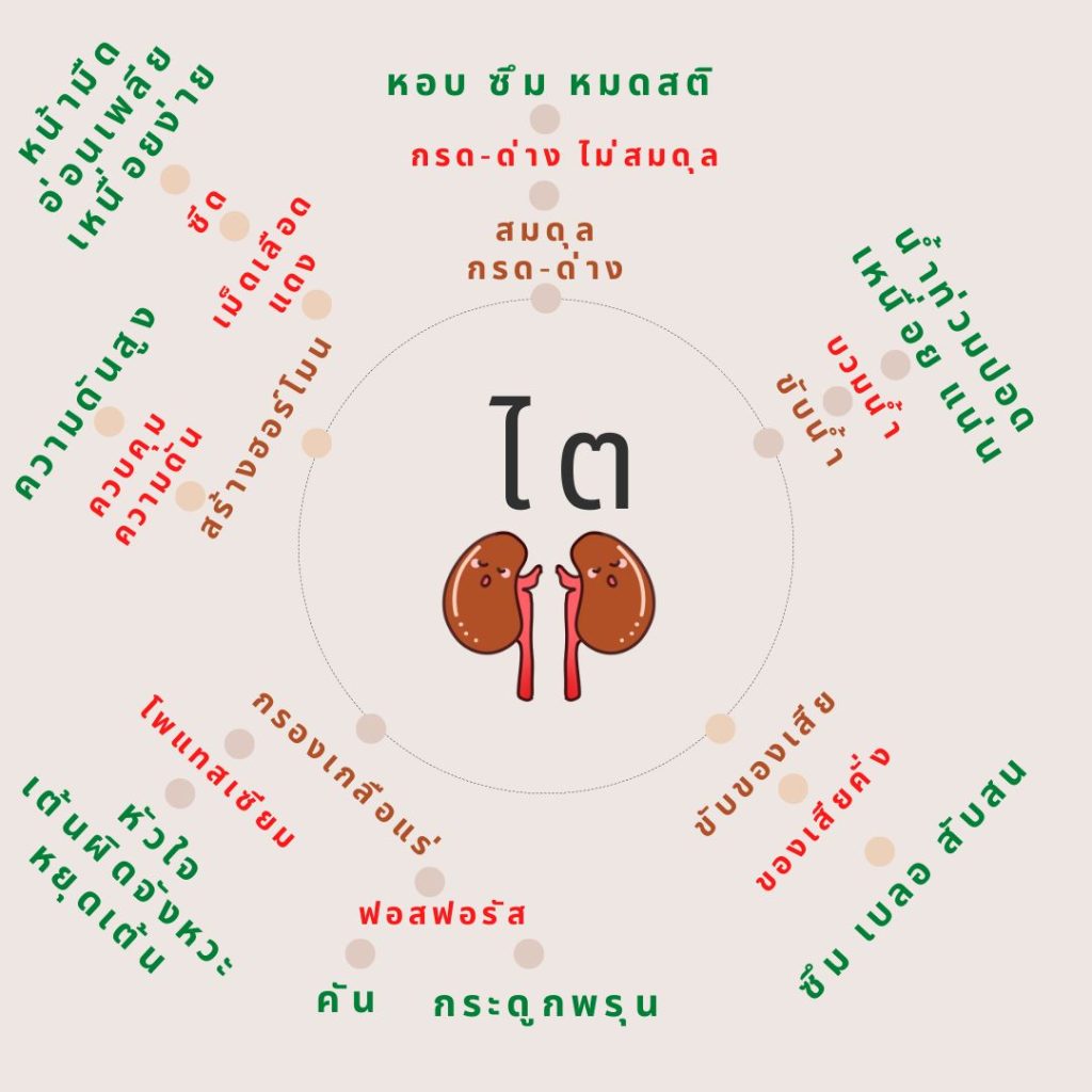 ไตเสื่อม ไตวาย ดูแลได้