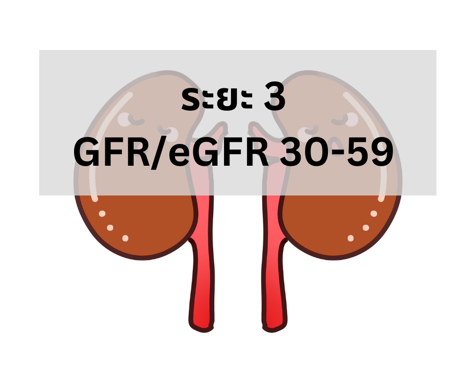 ไตเสื่อม ไตวาย ดูแลได้